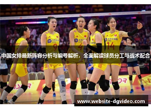 中国女排最新阵容分析与编号解析，全面解读球员分工与战术配合